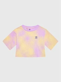 Εκπτωση 👍 Adidas T-shirts T-Shirt Graphic HK2930 Έγχρωμο Relaxed Fit 😀