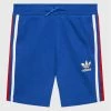 Το φθηνότερο 🌟 Adidas Αθλητικά Σορτς Αθλητικό σορτς Adicolor HL9411 Μπλε Regular Fit 🛒