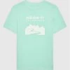 Τοπ 10 ✔️ Adidas T-shirts T-Shirt Adventure HE2059 Πράσινο Regular Fit 🧨