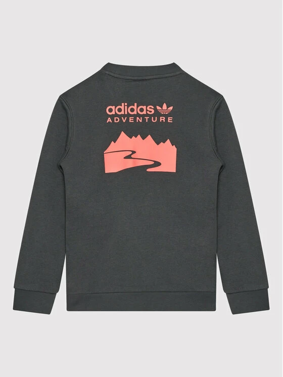 Προϋπολογισμός 🔔 Adidas Μπλούζες Φόρμας Μπλούζα Adventure HE2062 Γκρι Regular Fit 🎉 2 Προϋπολογισμός 🔔 Adidas Μπλούζες Φόρμας Μπλούζα Adventure HE2062 Γκρι Regular Fit 🎉 - Image 2