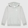 Best Pirce 😀 Adidas Μπλούζες Φόρμας Μπλούζα Adicolor H32353 Γκρι Regular Fit 🧨