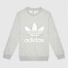 Τοπ 10 💯 Adidas Μπλούζες Φόρμας Μπλούζα Trefoil GD2709 Γκρι Regular Fit 🥰