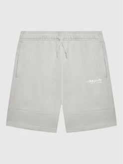 ΧΟΝΔΡΙΚΟ ΕΜΠΟΡΙΟ 💯 Adidas Αθλητικά Σορτς Αθλητικό σορτς Adventure HE2060 Γκρι Regular Fit 🎉