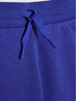 ΧΟΝΔΡΙΚΟ ΕΜΠΟΡΙΟ 💯 Adidas Αθλητικά Σορτς Αθλητικό σορτς Unisex Adicolor H14153 Μπλε Regular Fit 😀 -adidas Originals Κατάστημα unnamed file 805